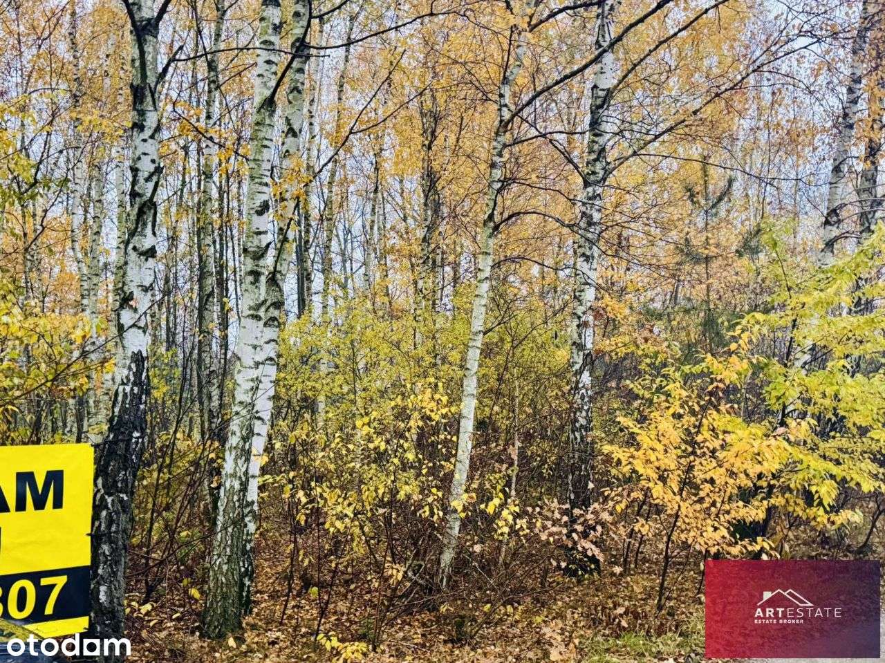 Działka Budowlana Słowak gm. Aleksandrów Ł. - Pełny obrazek: 5/20