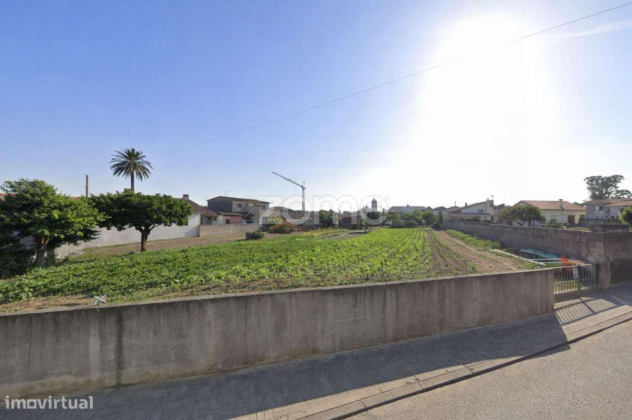 Terreno Urbanizável centro de Murtede