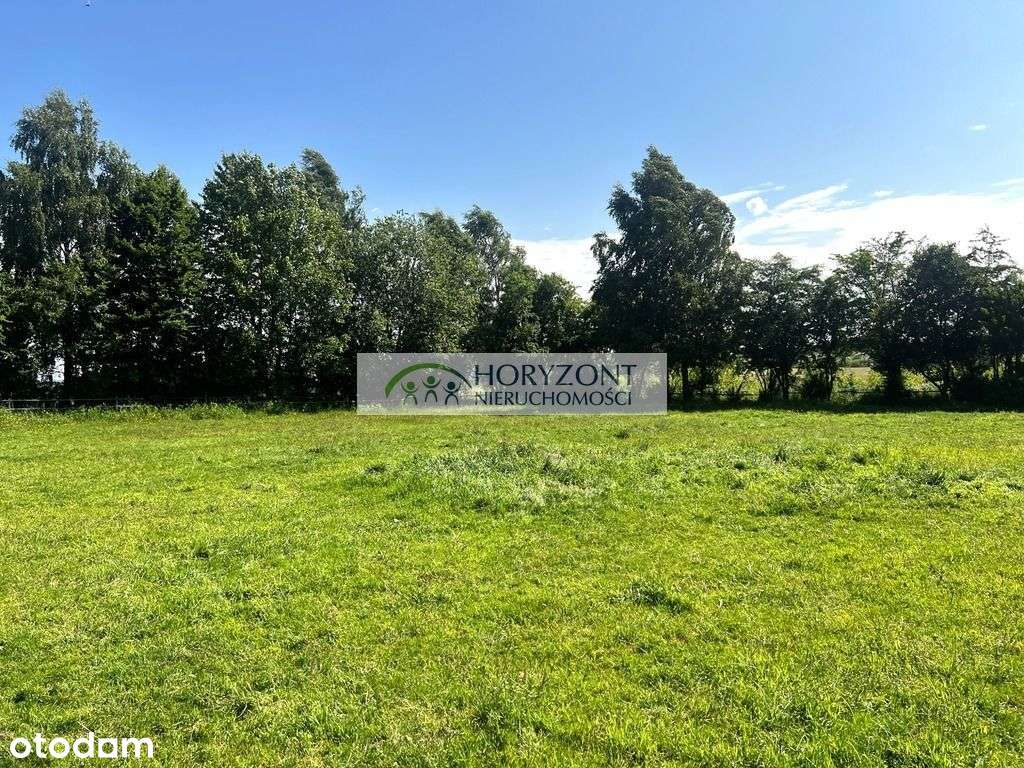 Somonino Rybaki działka 7500 m2 - Pełny obrazek: 5/7