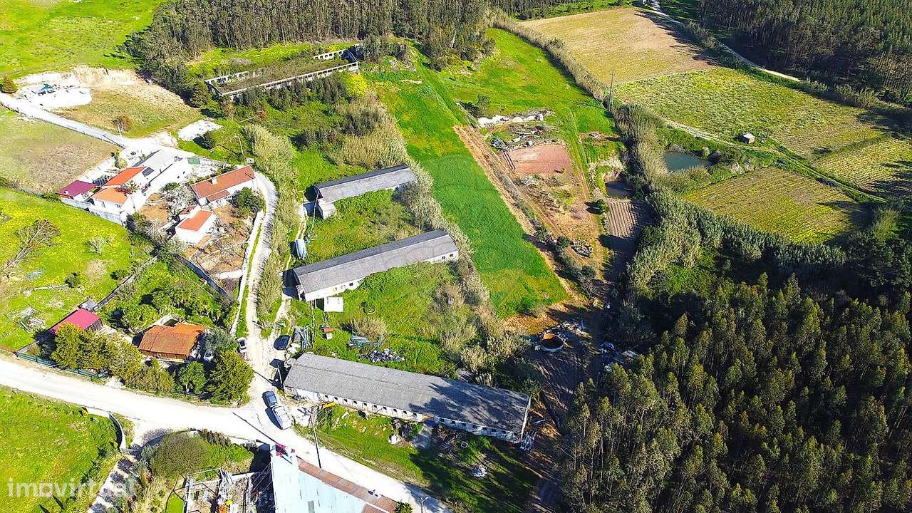 Armazém  para venda - Grande imagem: 4/8