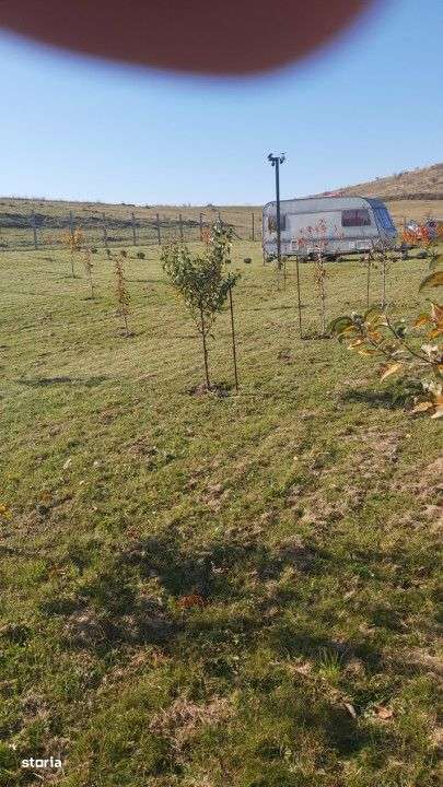 Teren extravilan 1000mp Centura nord - Imagine principală: 2/6