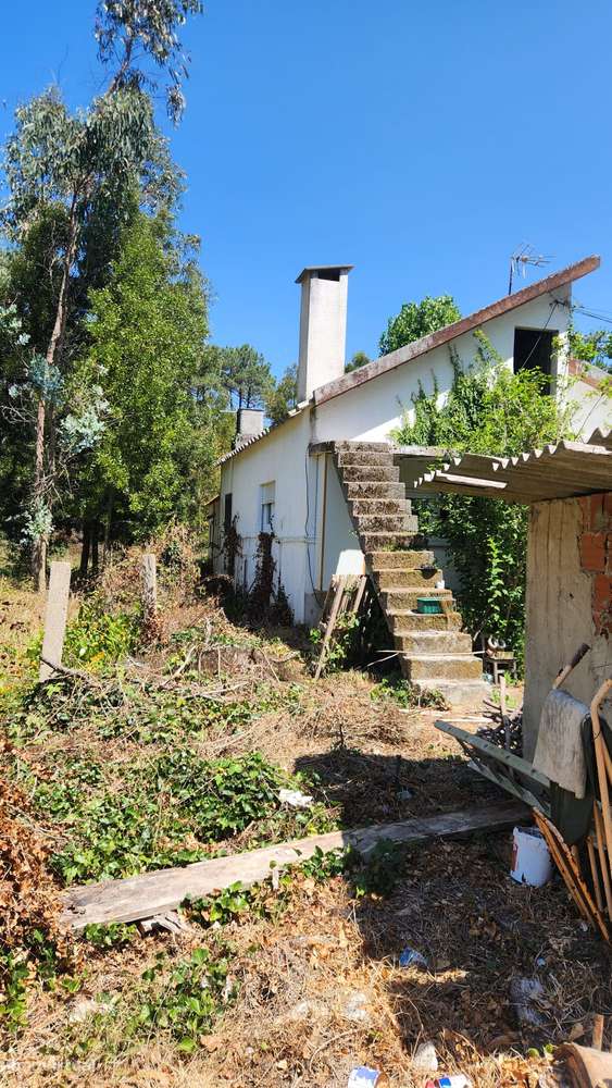 Moradia T3+anexos, térra e isolada. (Negociável) - Grande imagem: 5/38