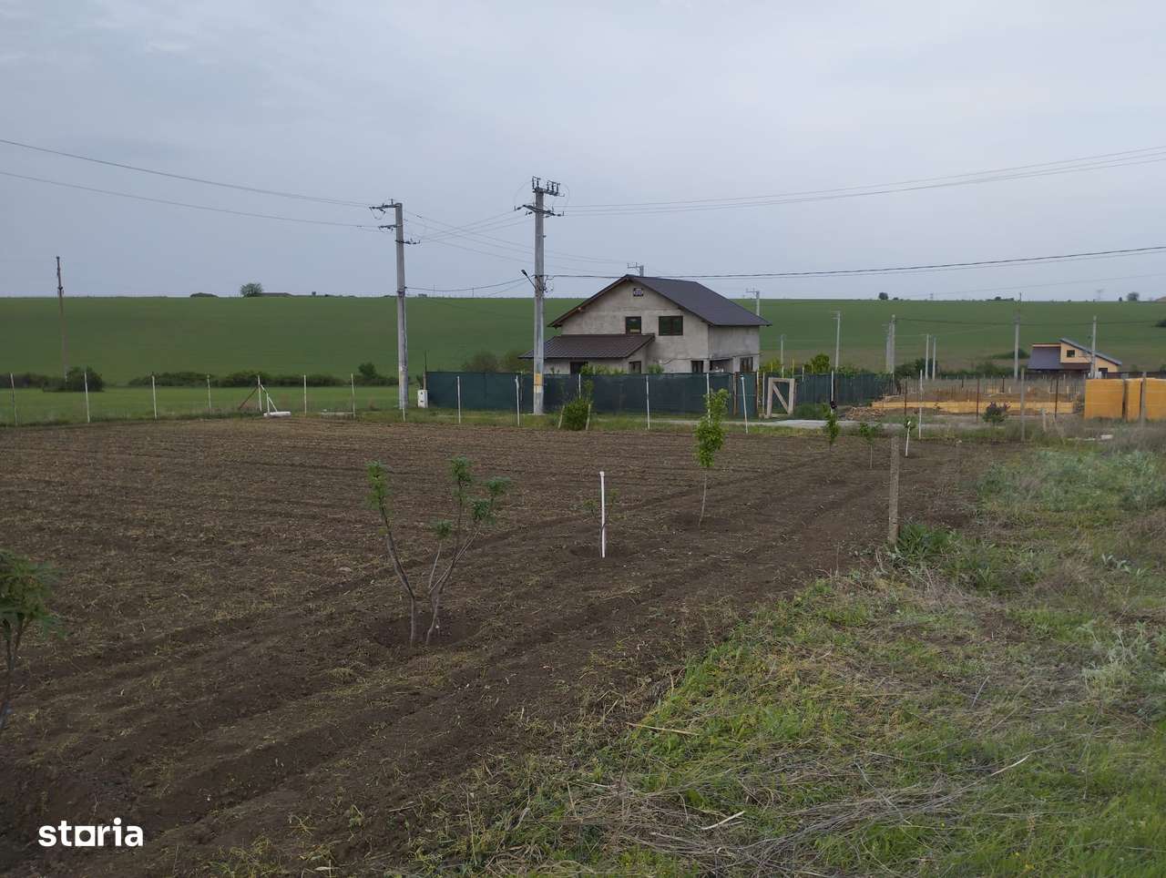 TEREN 800 MP SENDRENI - Imagine principală: 4/6