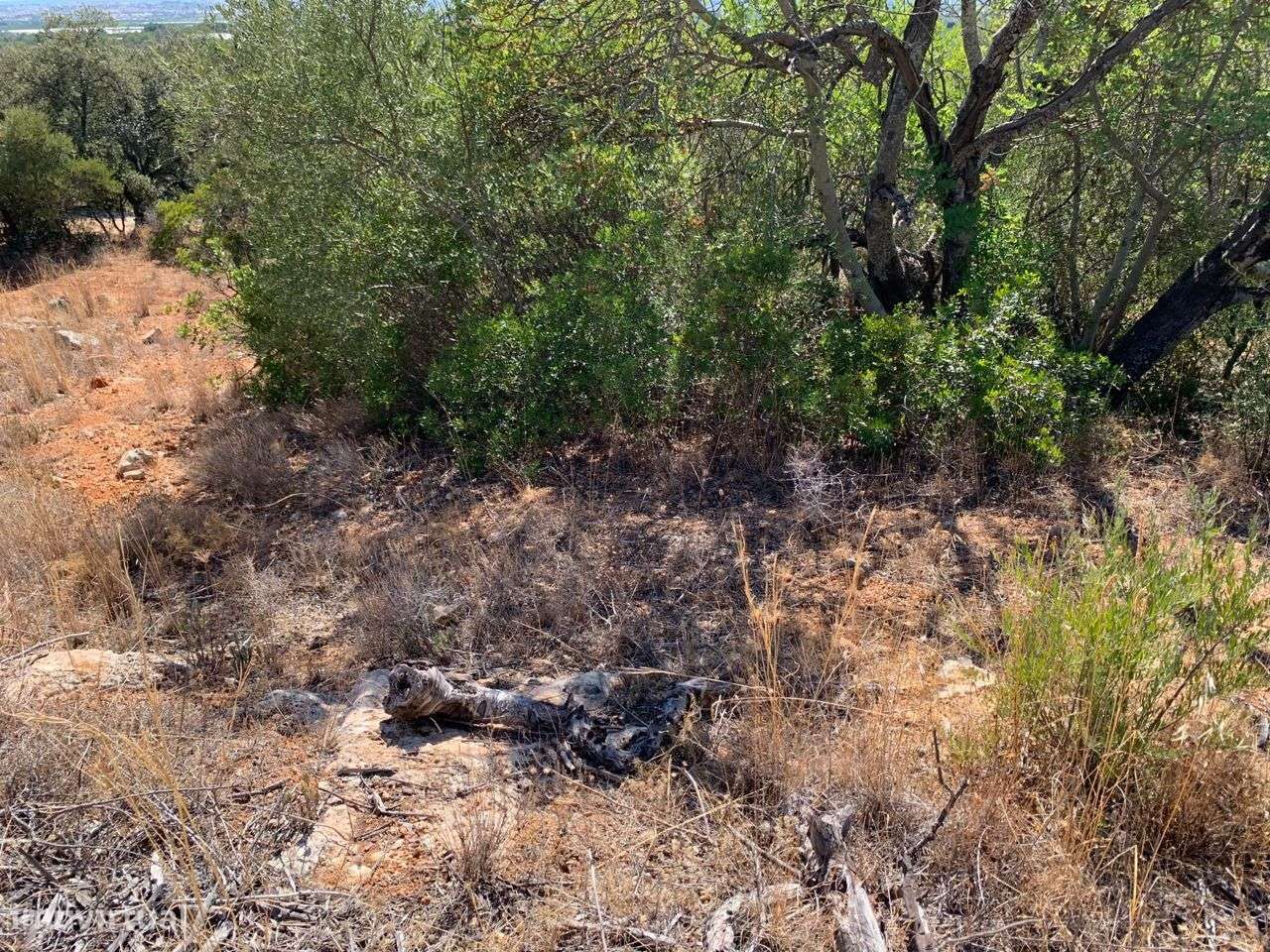 Terreno Urbano, com 3 artigos, Colmeal-29