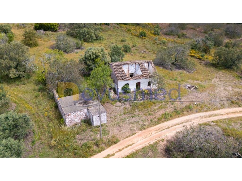 Herdade com 2.5 hectares e Ruína para reconstrução - Grande imagem: 4/45