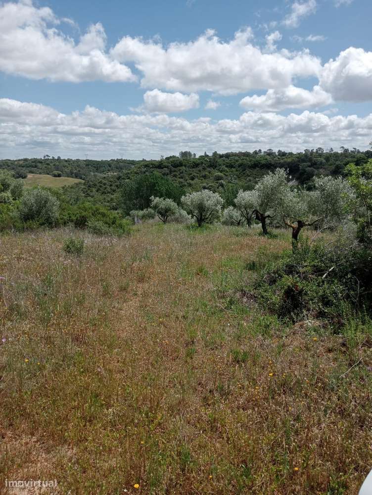 Terreno Urbano de 4,872 hectares em Santarém-5