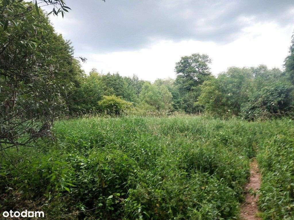 Działka 1200m2 w Milanówku - Pełny obrazek: 5/5