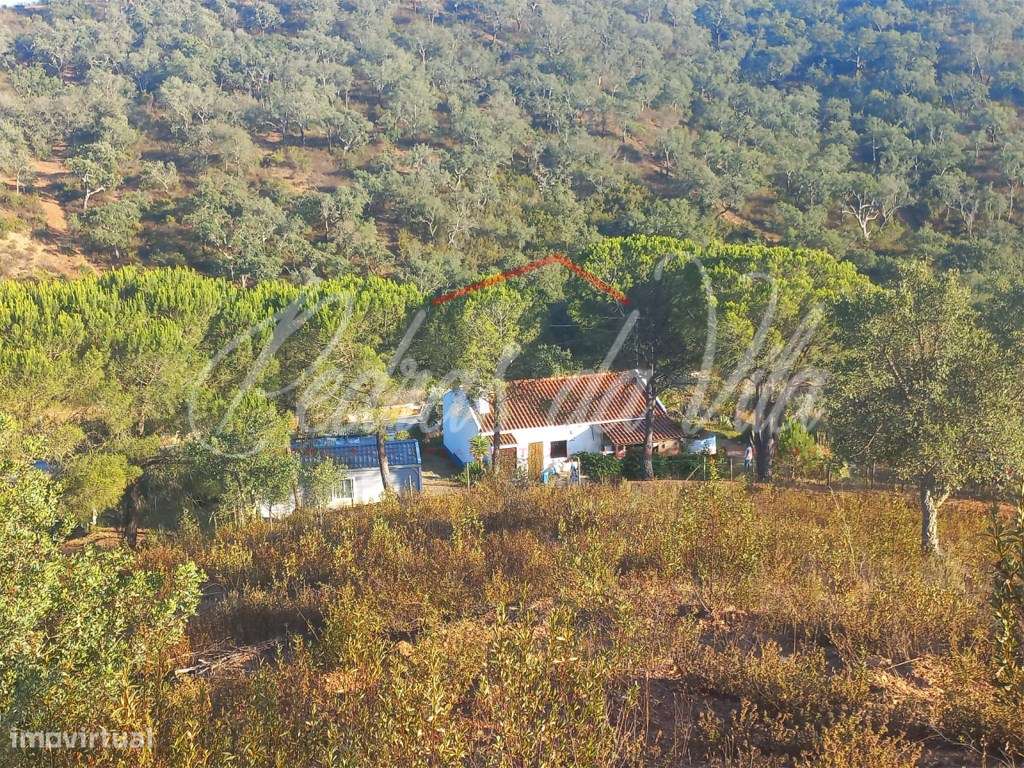 Propriedade de 27ha com moradia de 84m2 e ruina de 90m2 - Odemira-27