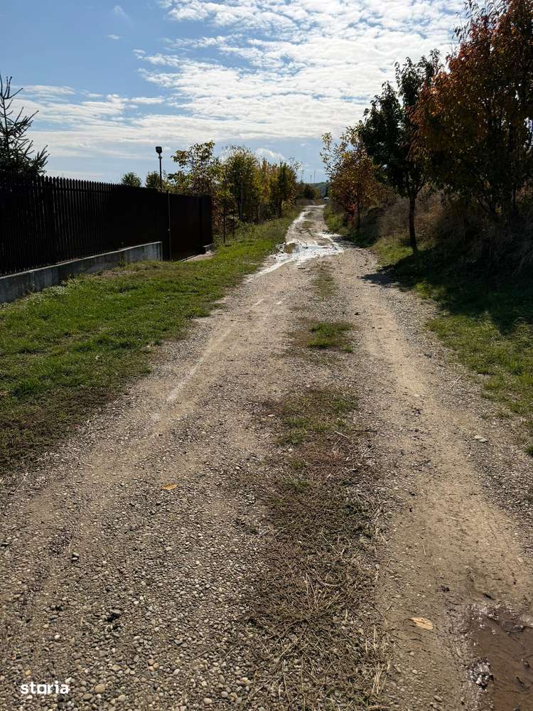 Vand teren Pentru Investitit Hemeiusi - Sat Fantanele - Imagine principală: 4/15