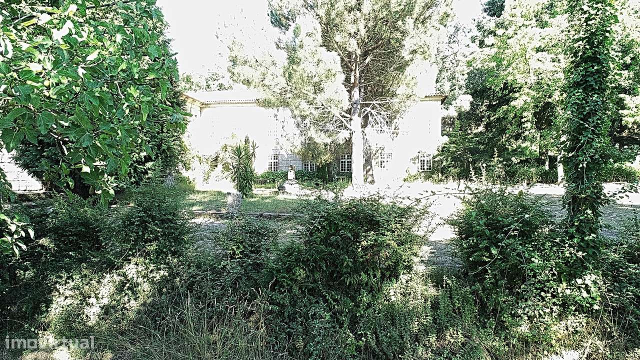 Quinta com Vinha em Valpedre – Penafiel-8