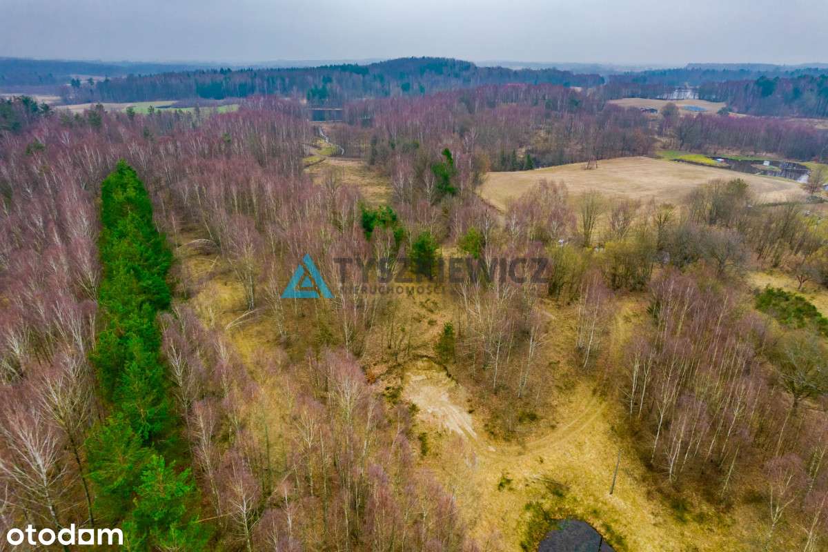 Działka rolna w malowniczej, spokojnej okolicy - Pełny obrazek: 5/20