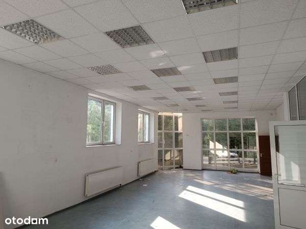 Hala/Magazyn, 700 m², Przeźmierowo-2