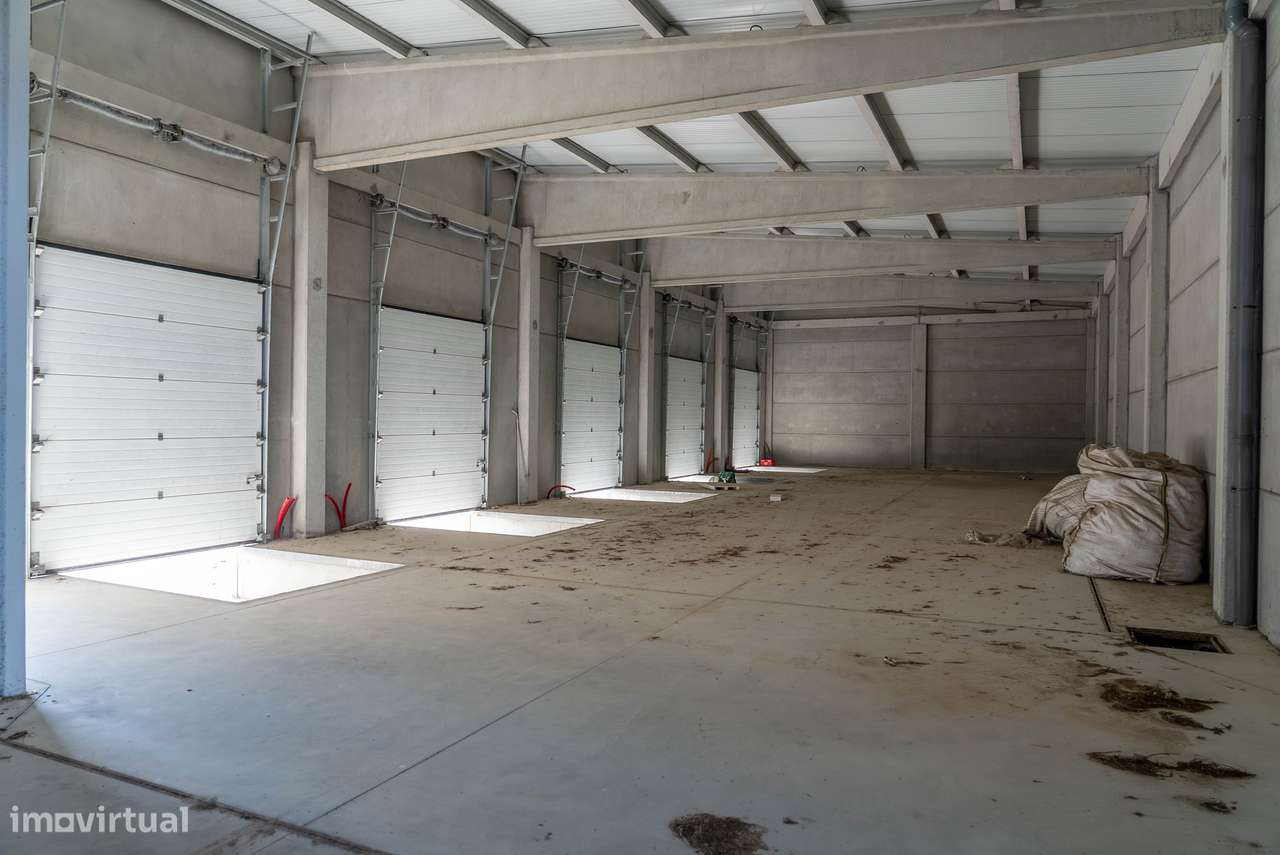 Entreposto em A-dos-Cunhados 8040m2-21