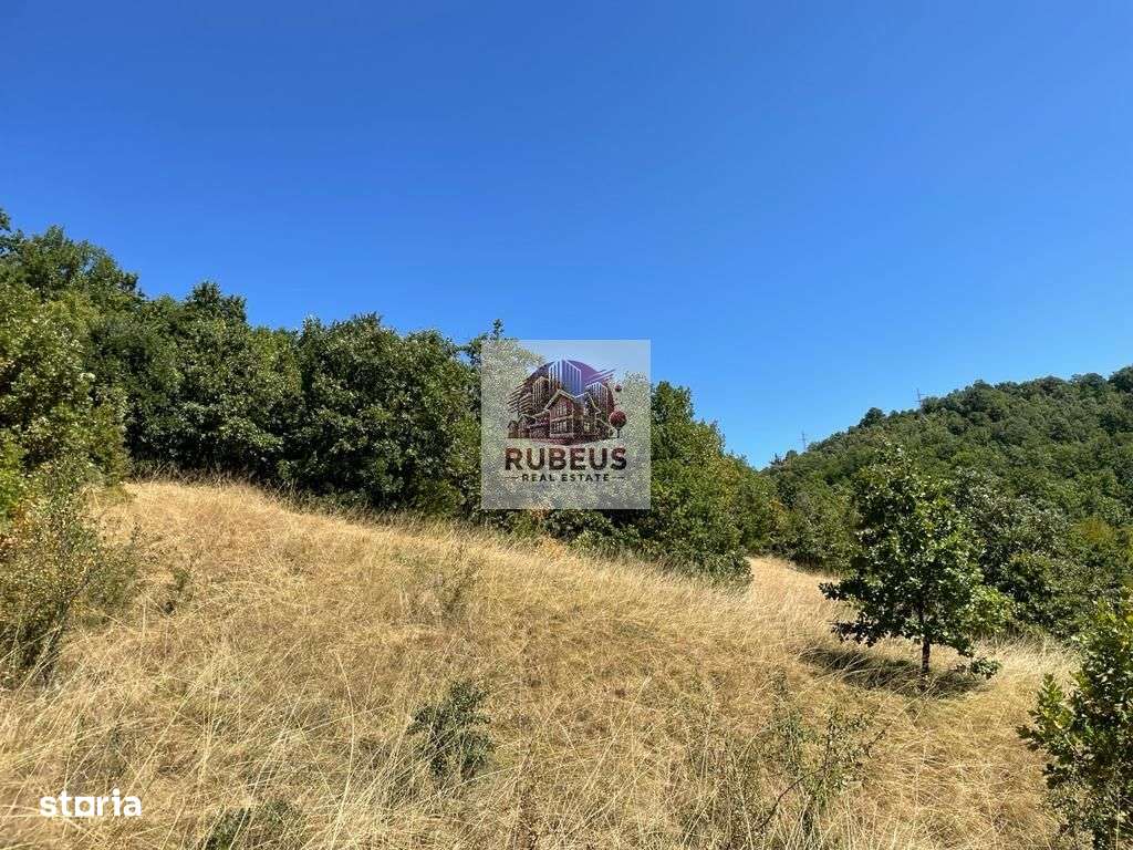 Teren intravilan 2.580 mp Eșelnița, acces DN57, ideal turism, locuinte-17