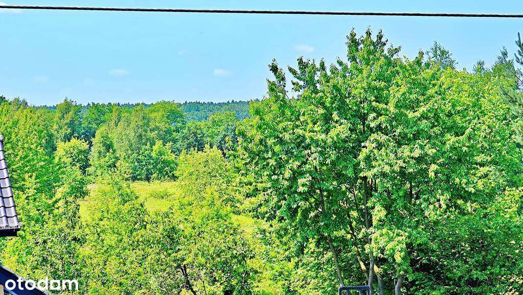 Funkcjonalny dom z dodatkowym pokojem na parterze-12