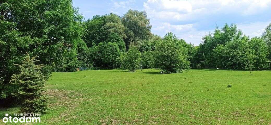 Duzy dom pod Płońskiem 70 km od Warszawy - Pełny obrazek: 4/11