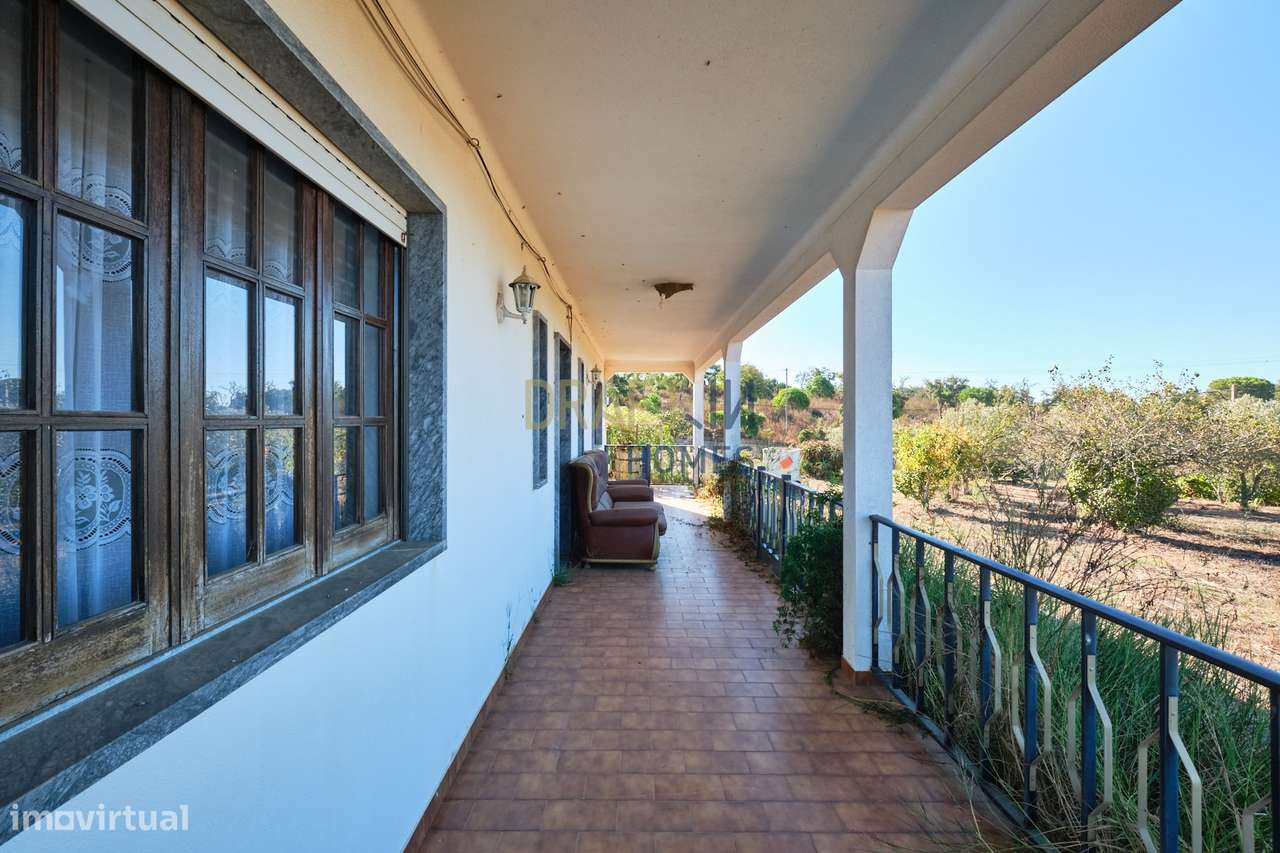 Quinta de 8 hectares em Melides - Grande imagem: 5/42