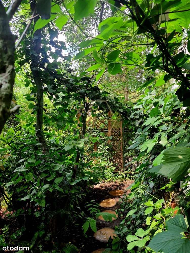 Sprzedam umeblowane mieszkanie z tarasem3pokoje72m-18