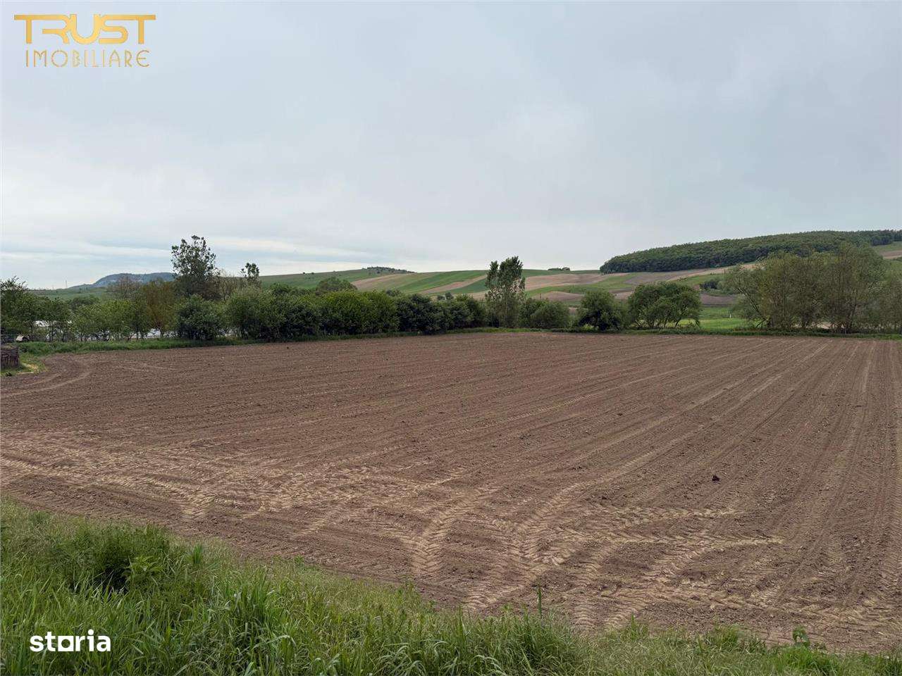 Teren intravilan de vanzare l 7500 MP l Aschileu Mare - Imagine principală: 5/8