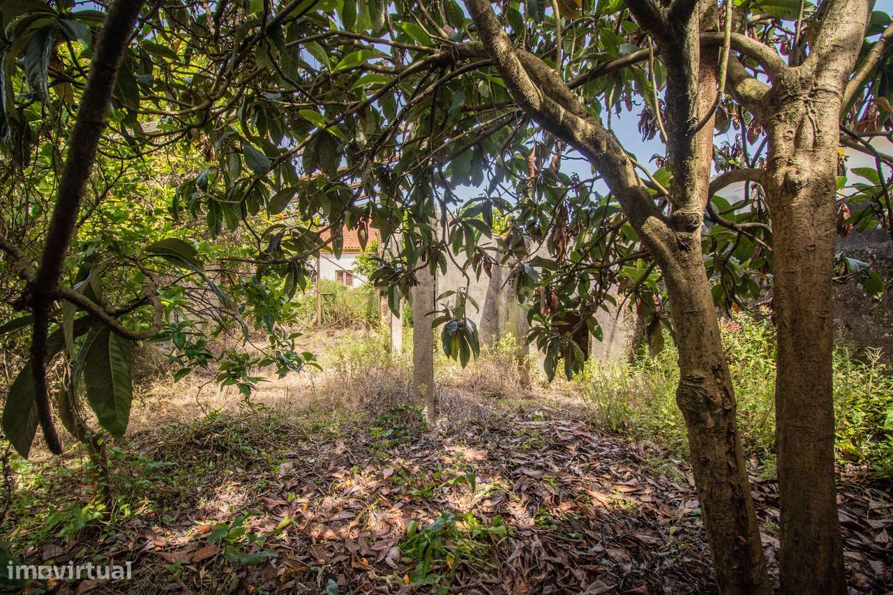 Casa Antiga em Alfarelos, Soure-26