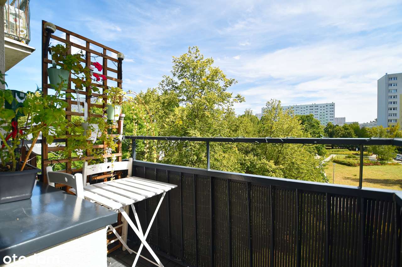 3 pokoje z wyjątkowym układem | Świetna lokalizacja | Centrum | Zieleń-19