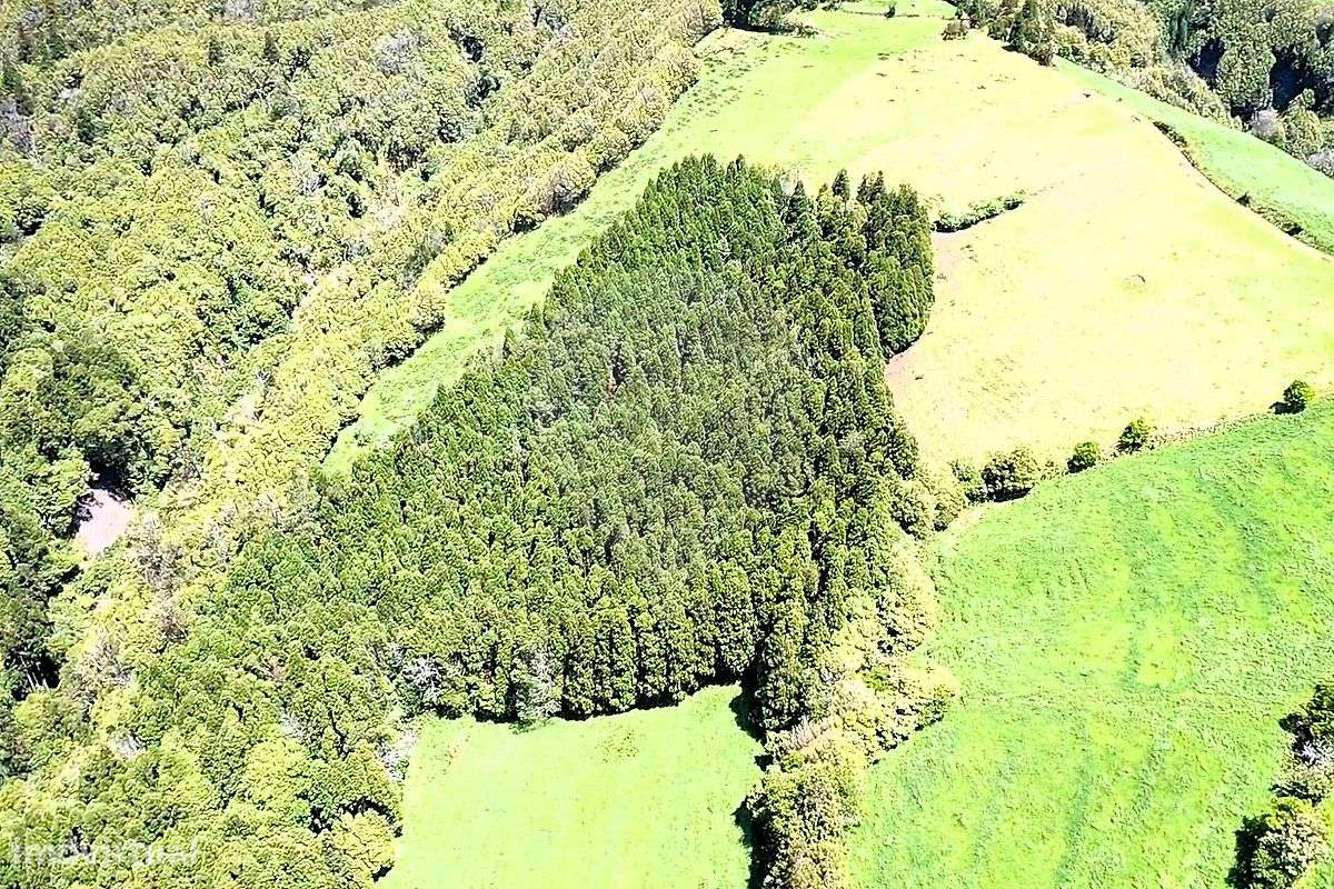 Terreno  para venda-7