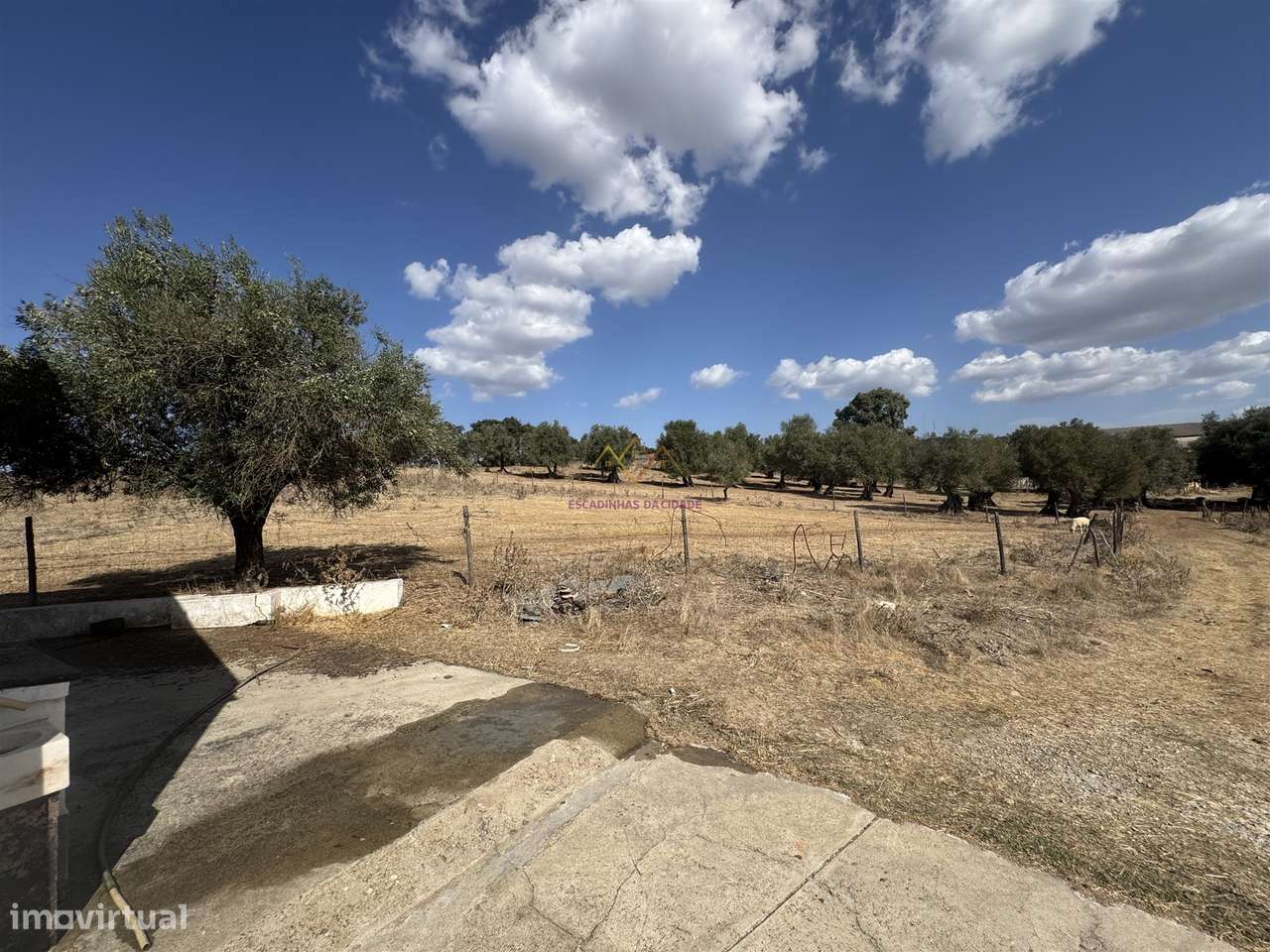 Herdade à venda em Montemor-O-Novo-6