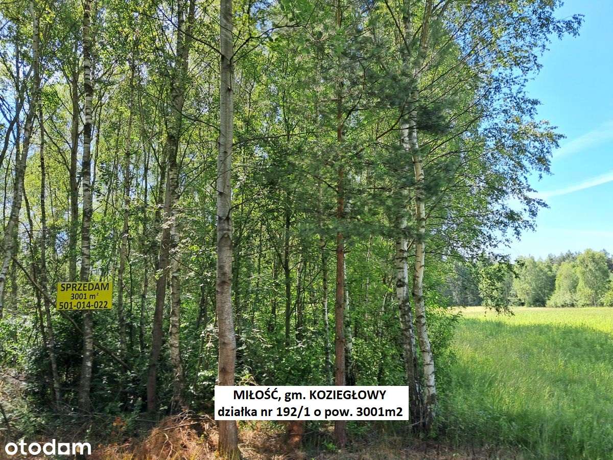 Miłość działka dla ukochanej :-) 3001m2 cena tylko 29.900zł-17