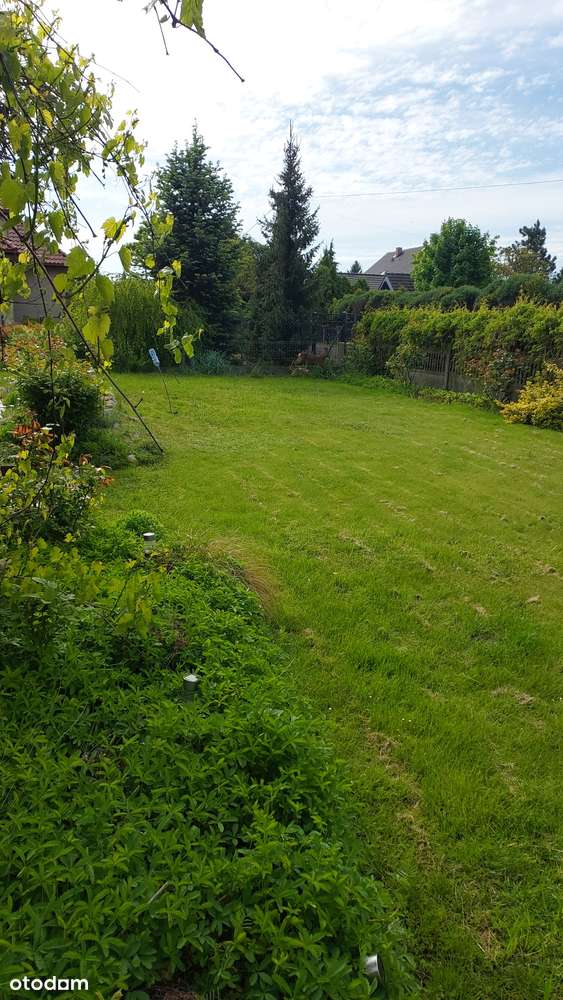 Wrocław - Krzyżanowice - Pełny obrazek: 4/20