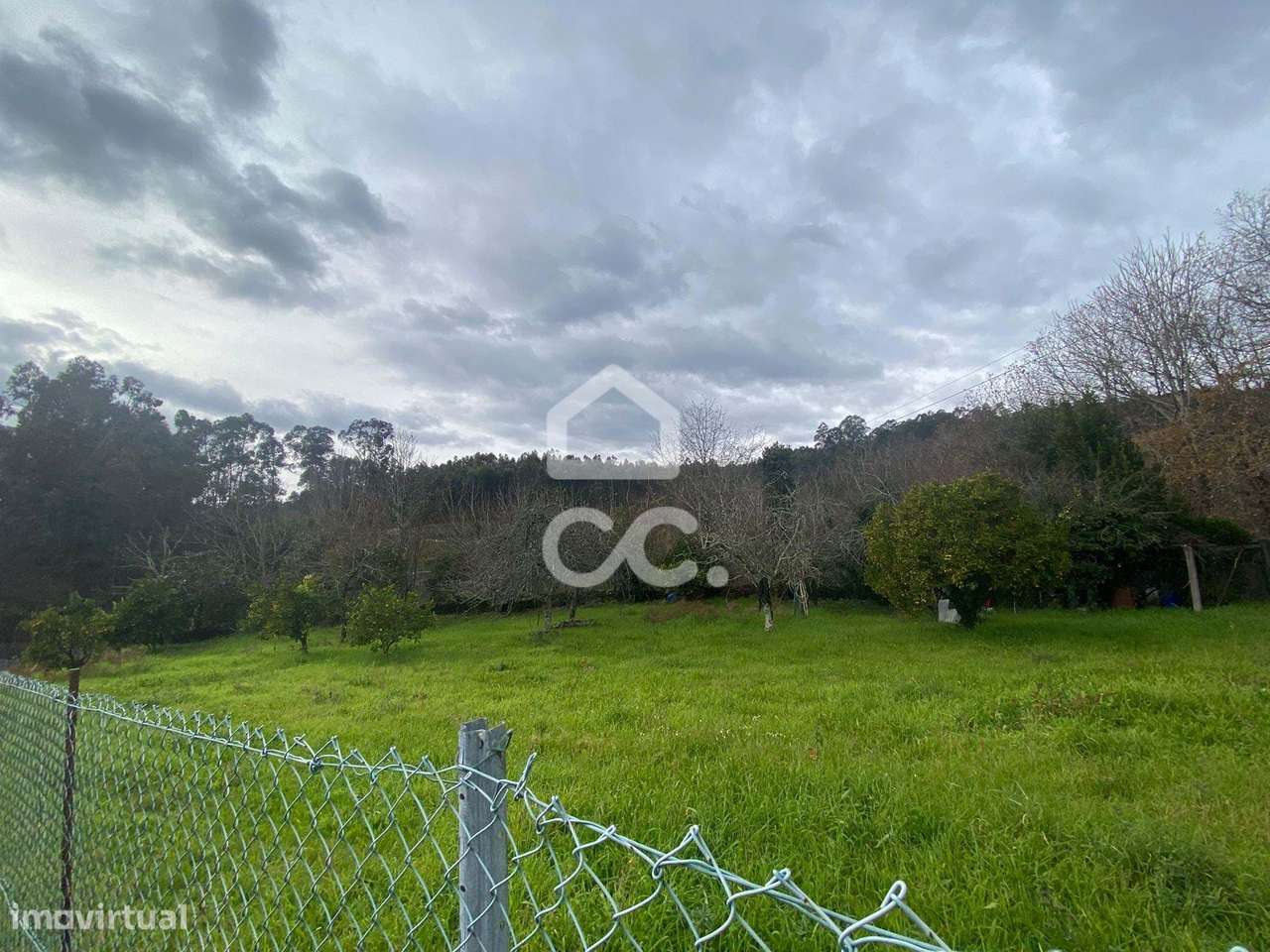 Terreno Agrícola em Gominhães - Grande imagem: 5/16