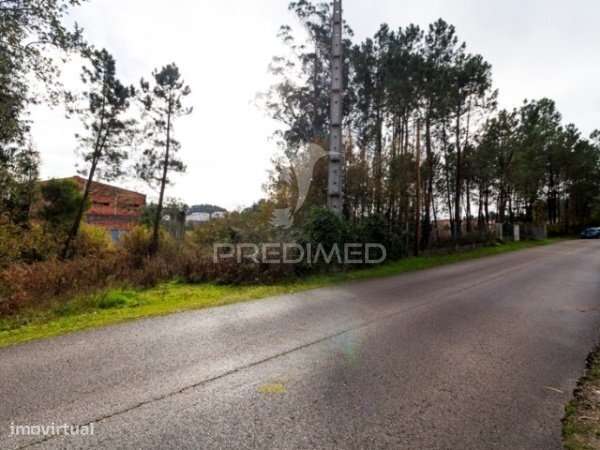 Prédio Industrial / Armazém em Maceirinha, Maceira – Leiria - Grande imagem: 2/14