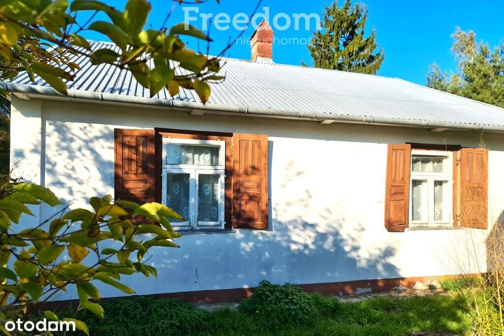 Dom w pobliżu lasu - 27 km od Międzyrzeca Podlaski - Pełny obrazek: 4/16