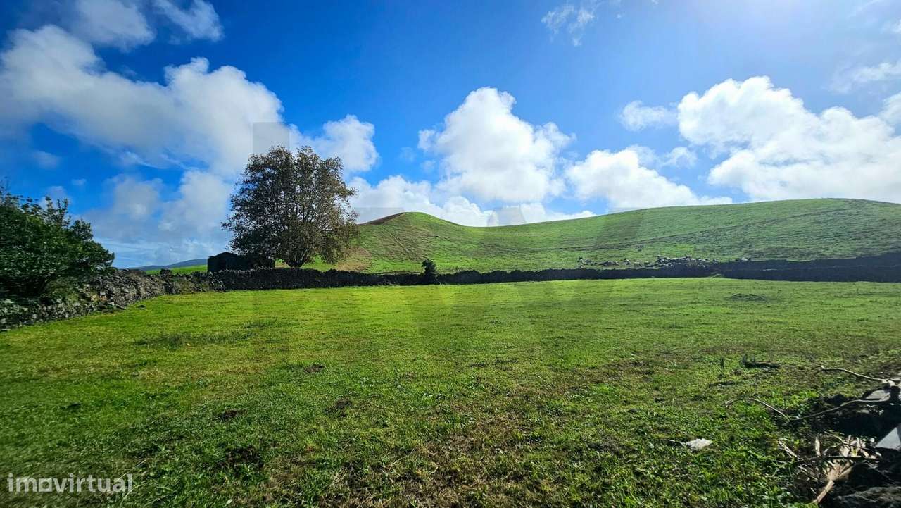Terreno Rústico com 8.780 m2 localizado no Pico do Alho - Ribeira Gran - Grande imagem: 5/14