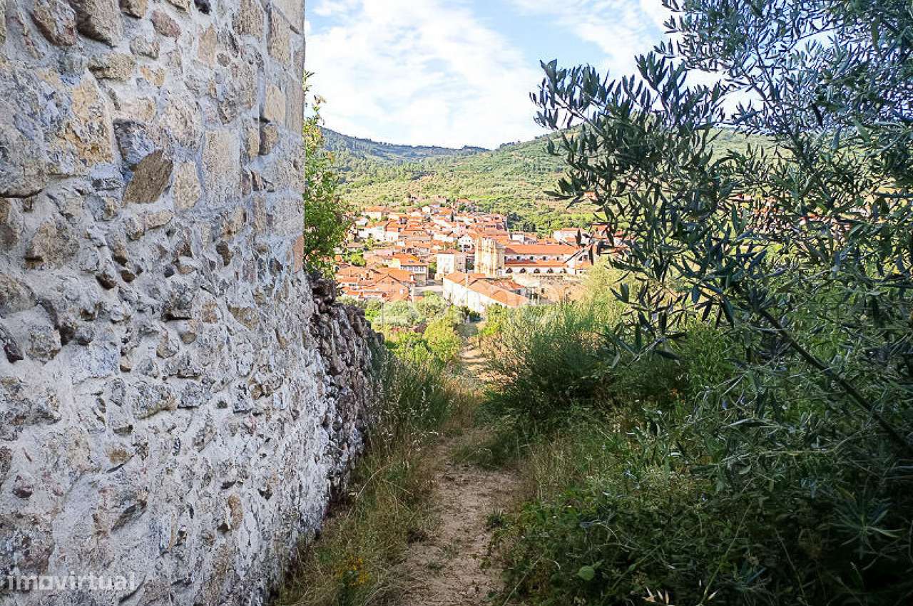 Quinta do Mosteiro de Salzedas com mais 17 ha e património histórico-10