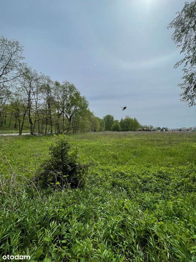 Działka 1,35 ha Kępa Zawadowska-1