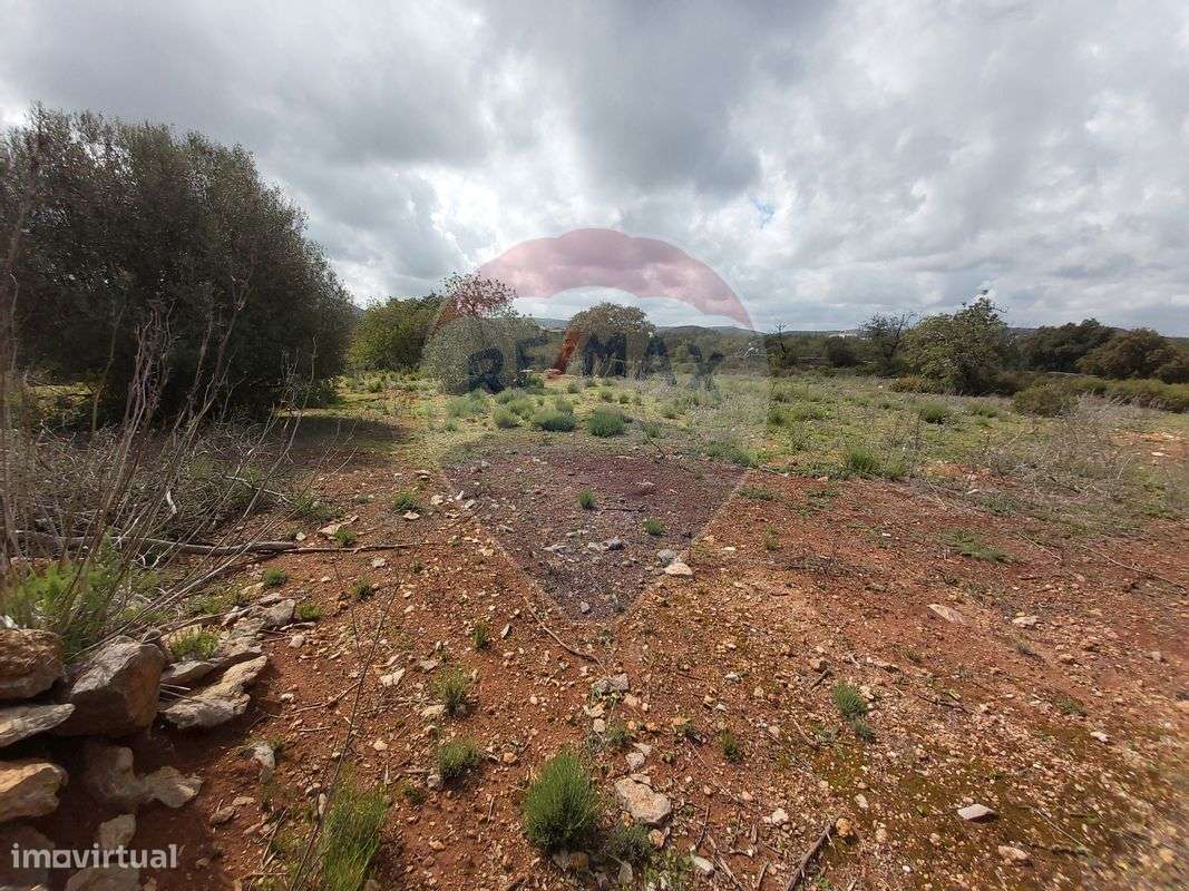 Terreno  para venda - Grande imagem: 4/13