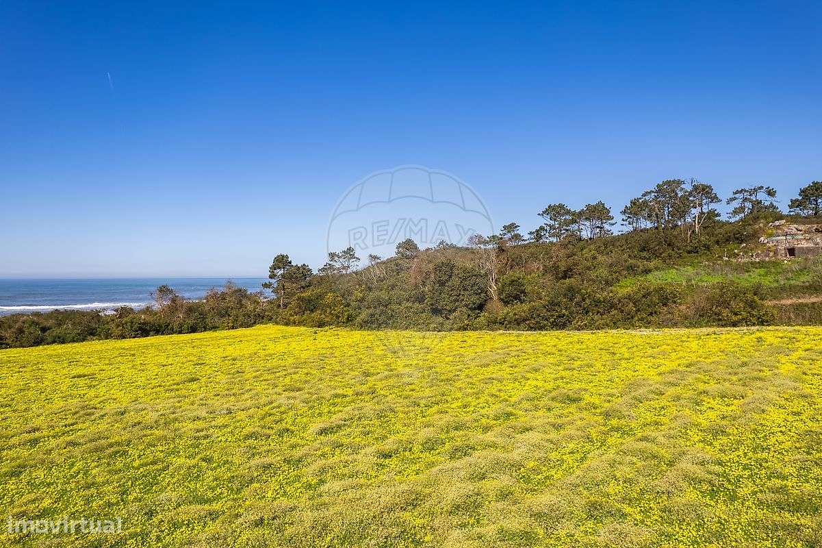 Terreno  para venda-30