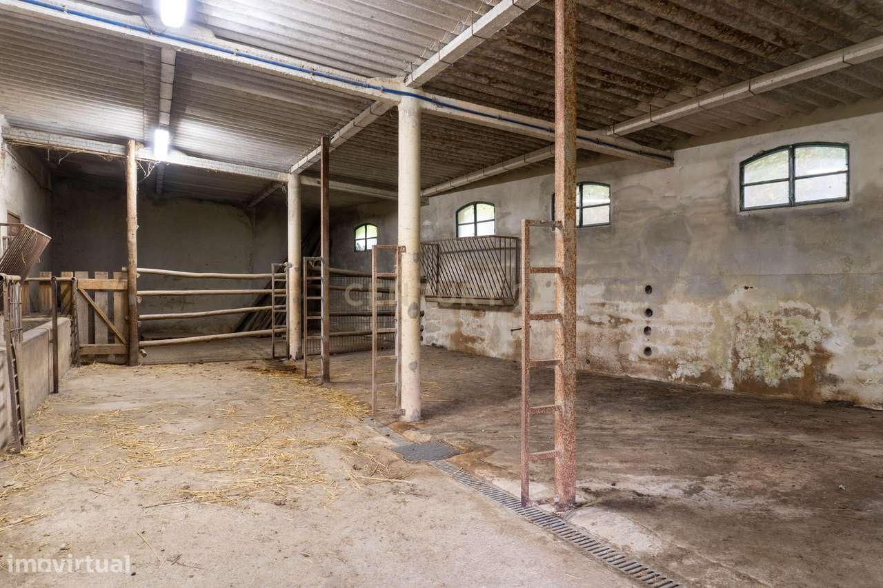 Quintinha em Alenquer com Excelente Potencial – 5,8 Hectares-20