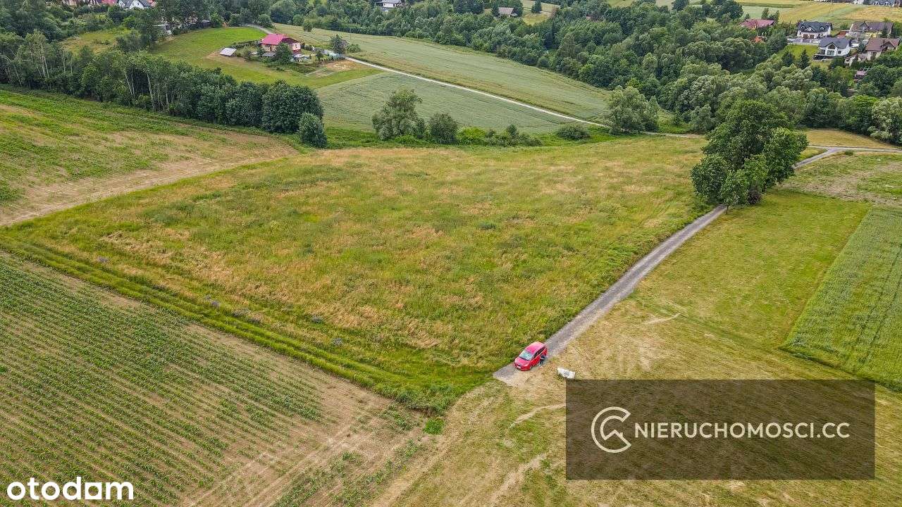 Działka budowlano - rolna 1,6ha pod Krakowem - Pełny obrazek: 4/9