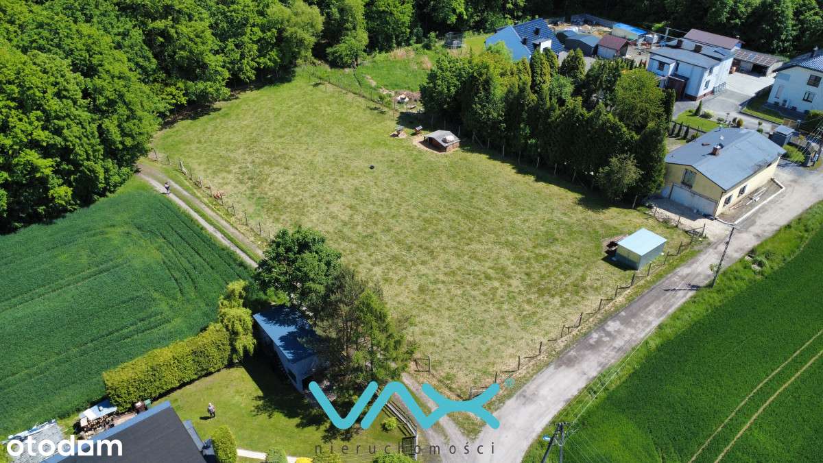 Działka pod samym lasem - Pełny obrazek: 4/7