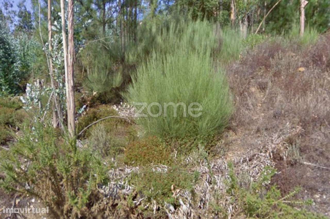 Terreno Urbano em Melres - Grande imagem: 2/5