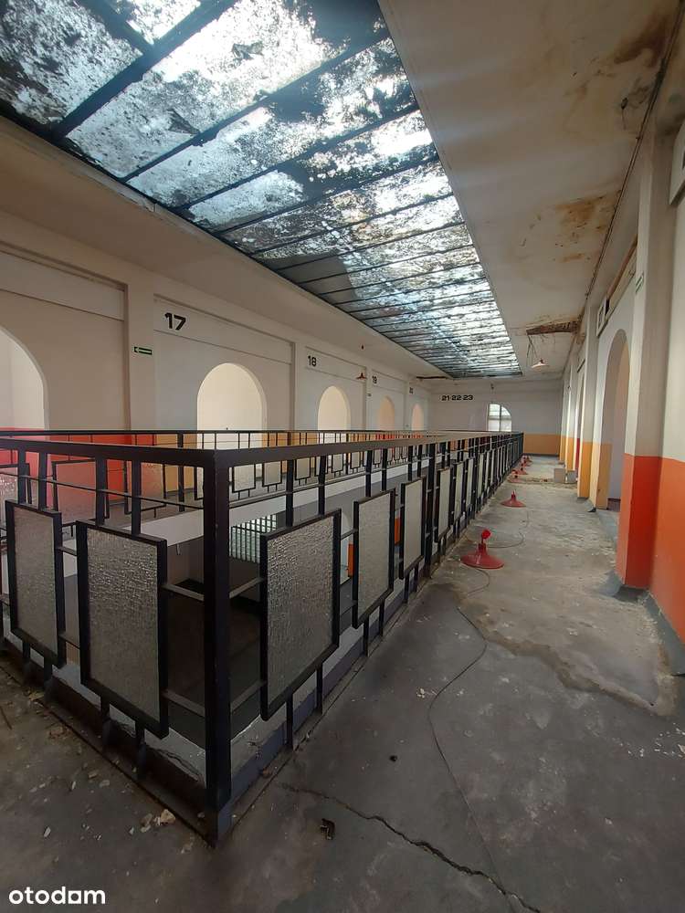 Budynek industrialny z ogromnym potencjałem - Pełny obrazek: 5/12