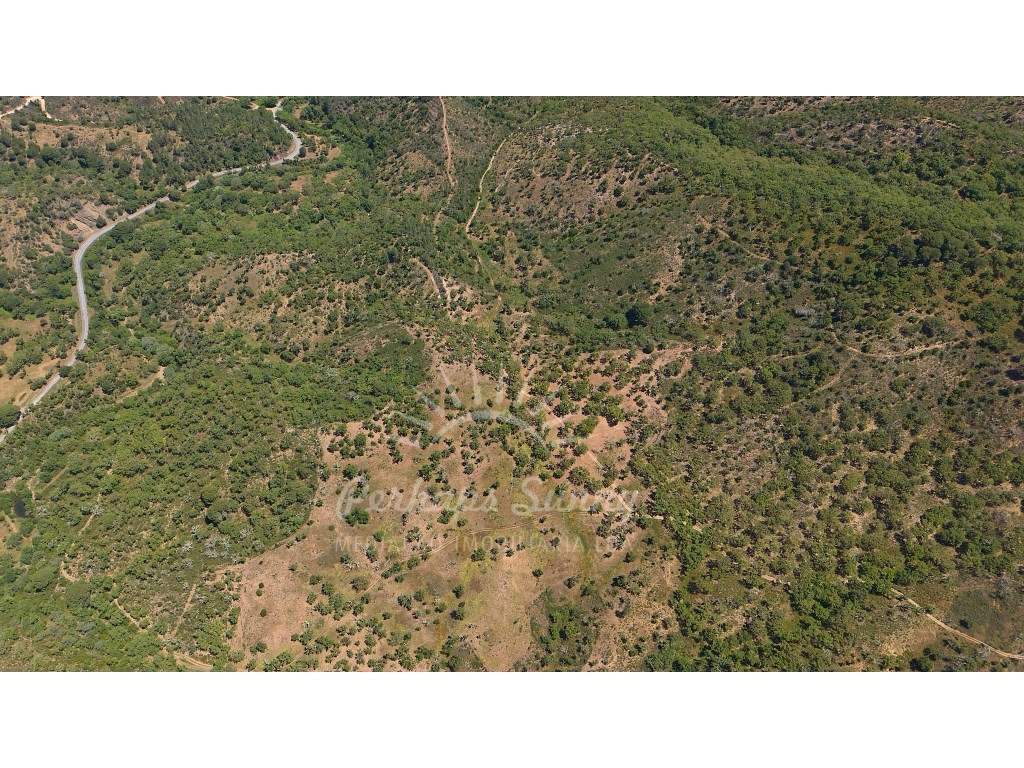 Propriedade Rústica de Montado com Ribeira | 22,6 Hectares | Serra ...-12