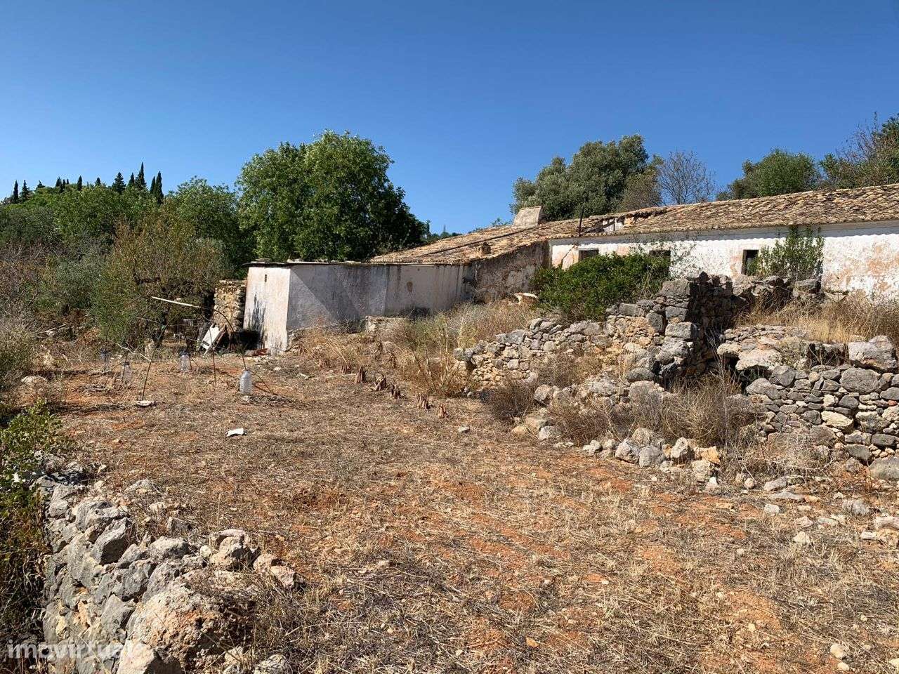 Terreno Urbano, com 3 artigos, Colmeal-35