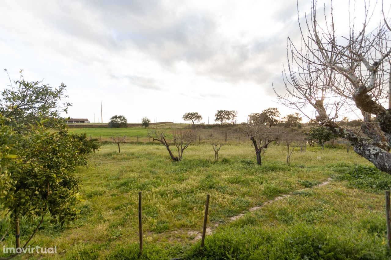 Moradia de 5 assoalhadas inserida em Quinta com 3780m2 em Ven. Novas