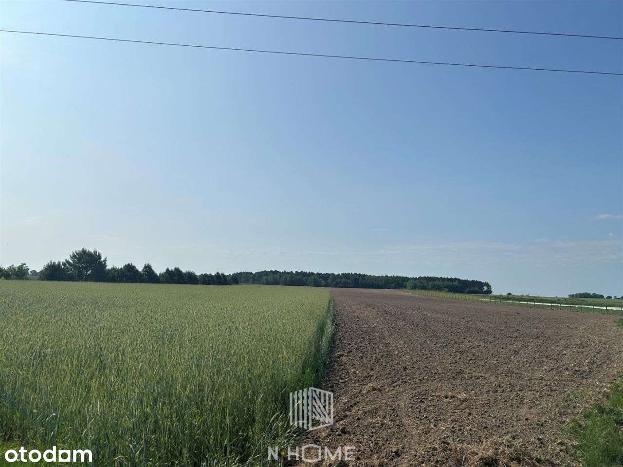 Działka budowlana w urokliwym miejscu przy lesie - Pełny obrazek: 5/5