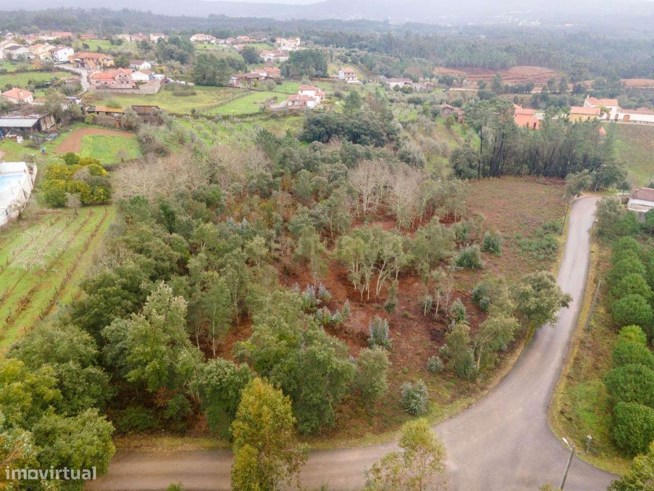 Terreno de 6.600m2 com Potencial de Construção - Vila Nova de Poiares-8
