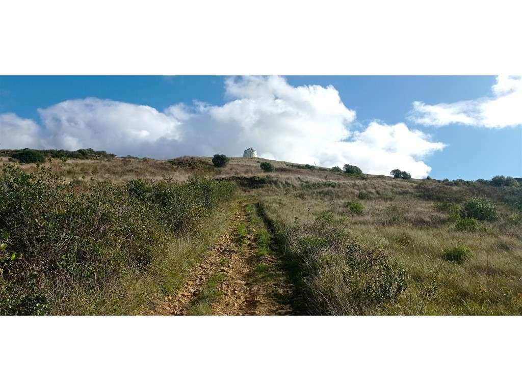 Terreno rústico com 10.800 m2 na serra Almorquim com vista panorâmica - Grande imagem: 3/31