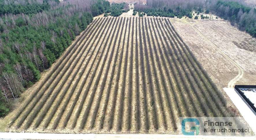 Działka inwestycyjna, Żurawia, Niższa Cena! - Pełny obrazek: 5/14