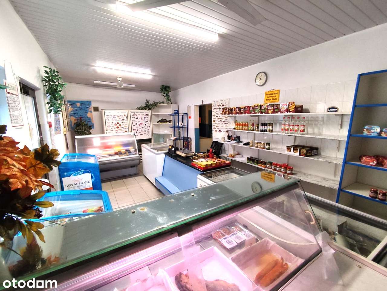 Lokal użytkowy na sprzedaż, Nysa Os. Gałczyńskiego-4